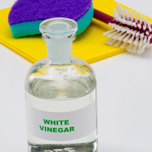 Does White Vinegar Kill Mold On Clothes